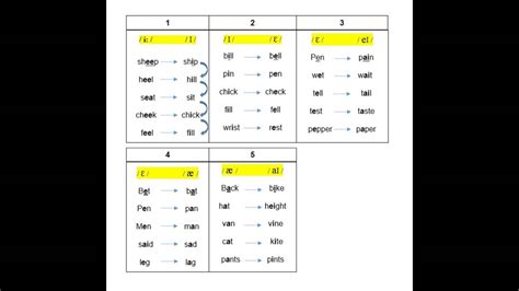 szwa|Mid central vowel